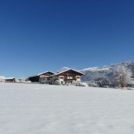Schottenhof Fulpmes Dış mekan fotoğraf