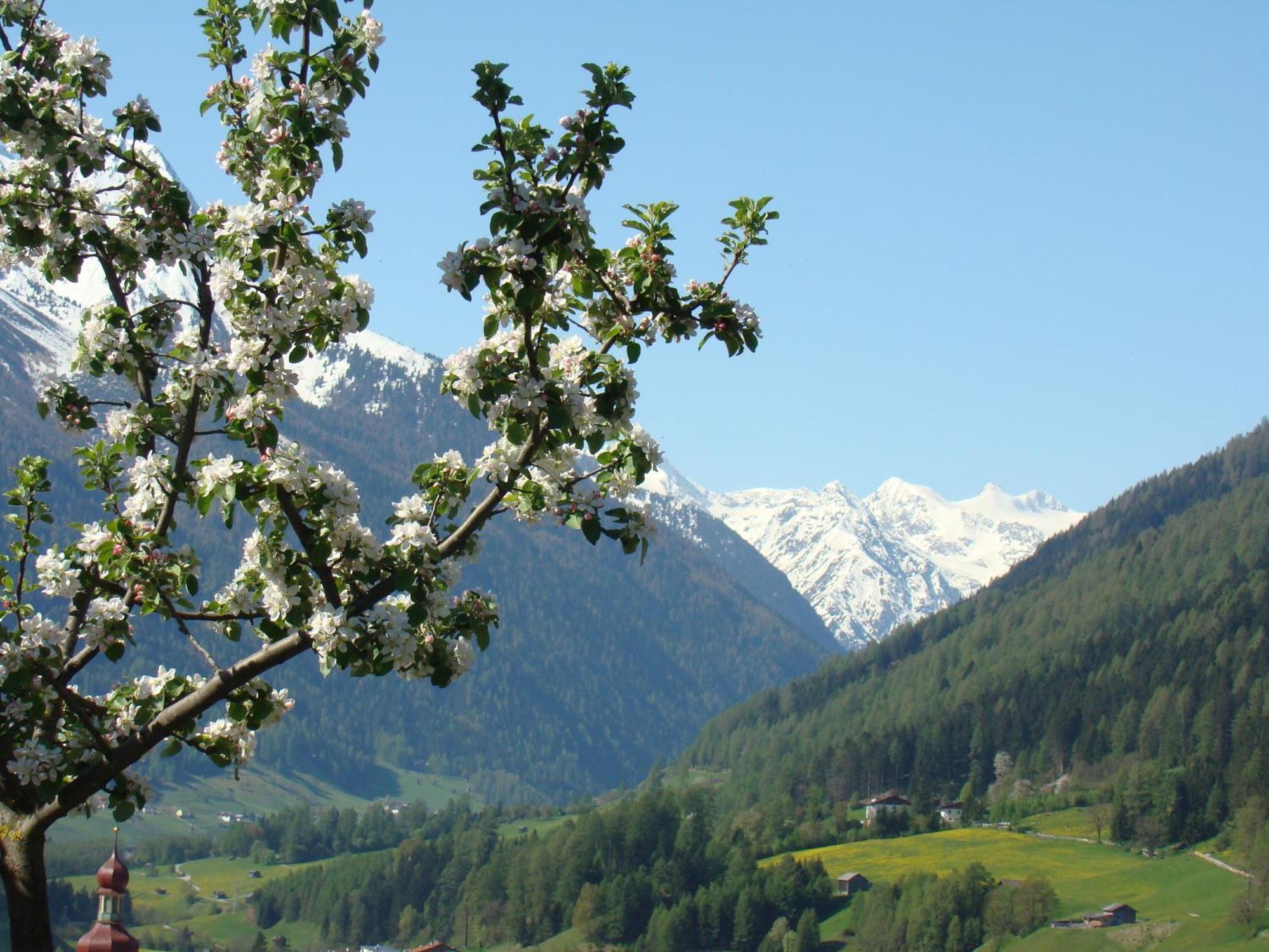 Schottenhof Fulpmes Dış mekan fotoğraf